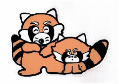 panda.jpg
