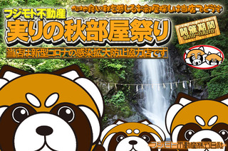 Panda_Akibeya2021.jpg
